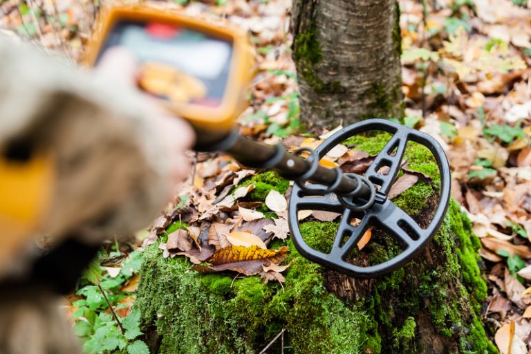 Metal Detector Professionale: I Migliori 5 Super Precisi! metal detector professionale migliore